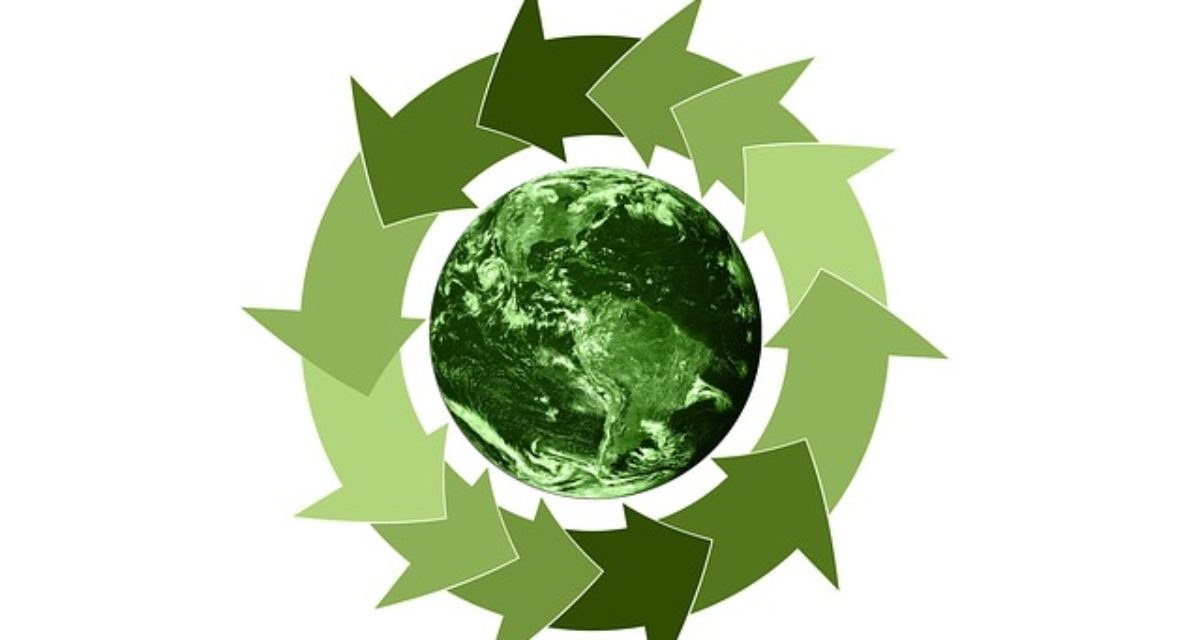 Gjenbrukspall fra NLP er et bærekraftig valg